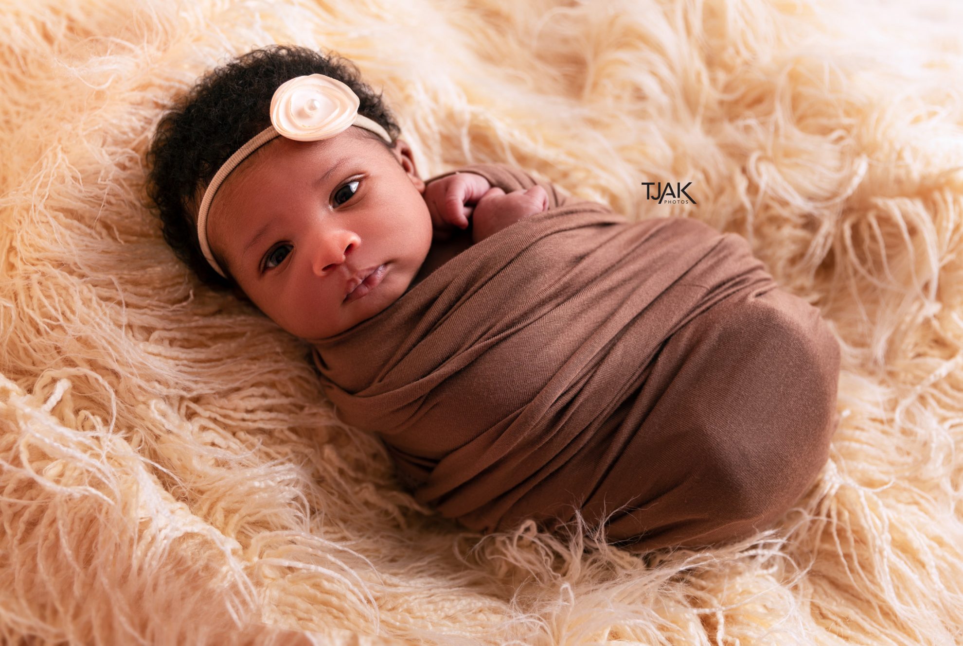 Newborn with a cream bow looking at a pregnancy photographer